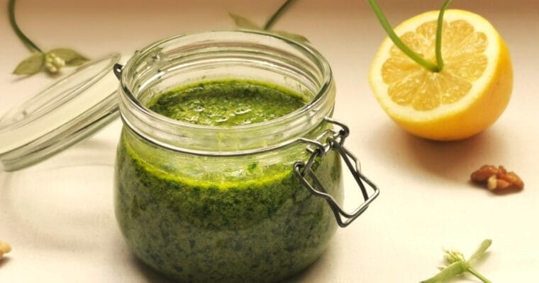 Homemade Wild Garlic Pesto